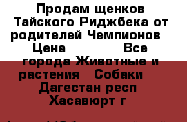 Продам щенков Тайского Риджбека от родителей Чемпионов › Цена ­ 30 000 - Все города Животные и растения » Собаки   . Дагестан респ.,Хасавюрт г.